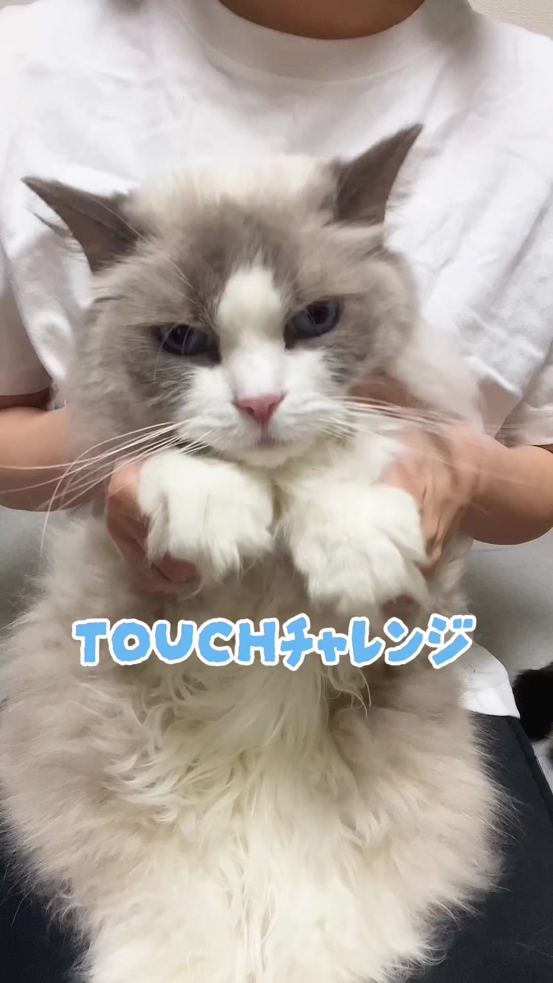 @りんちょ