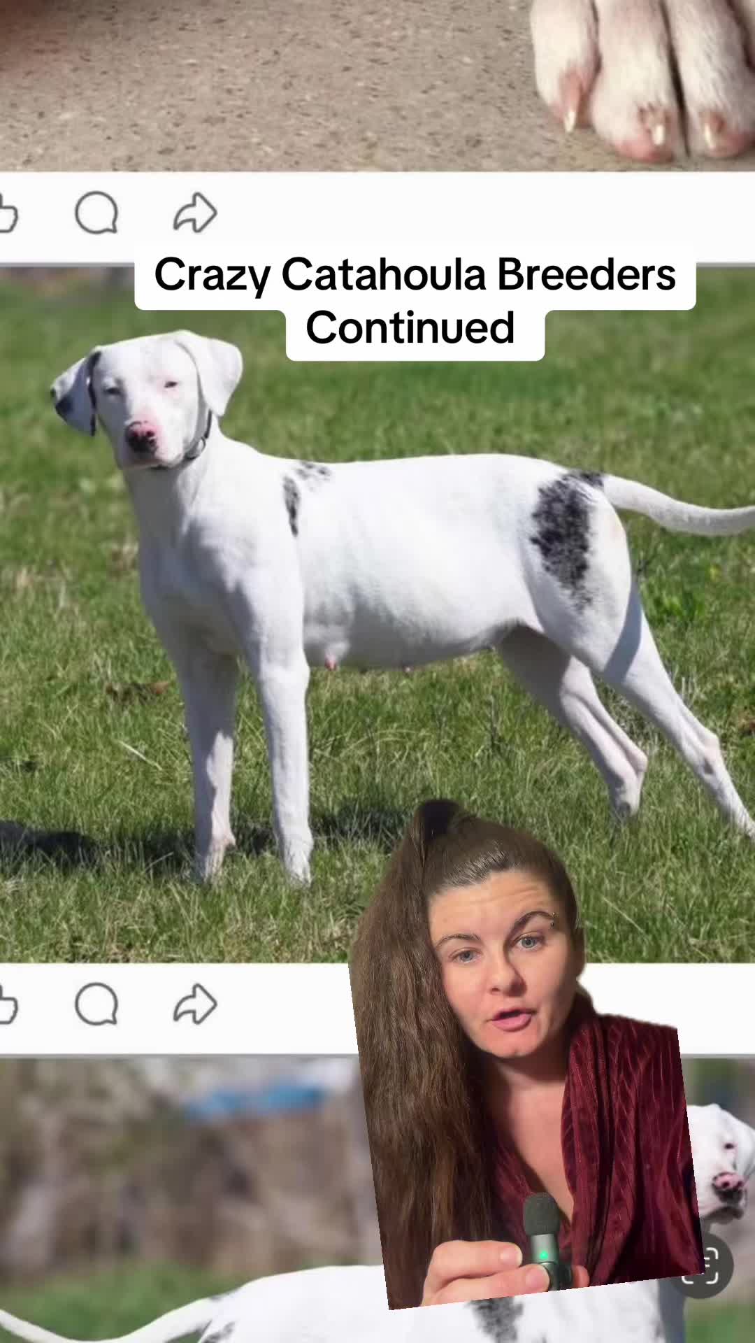 @Jess Shark🐾DOG PACK🐾