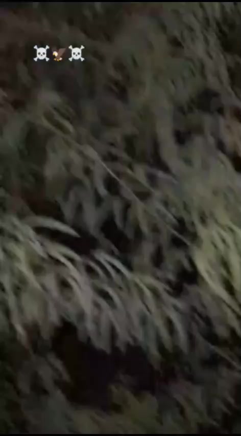 @🔥باغی پٹھان 🔥