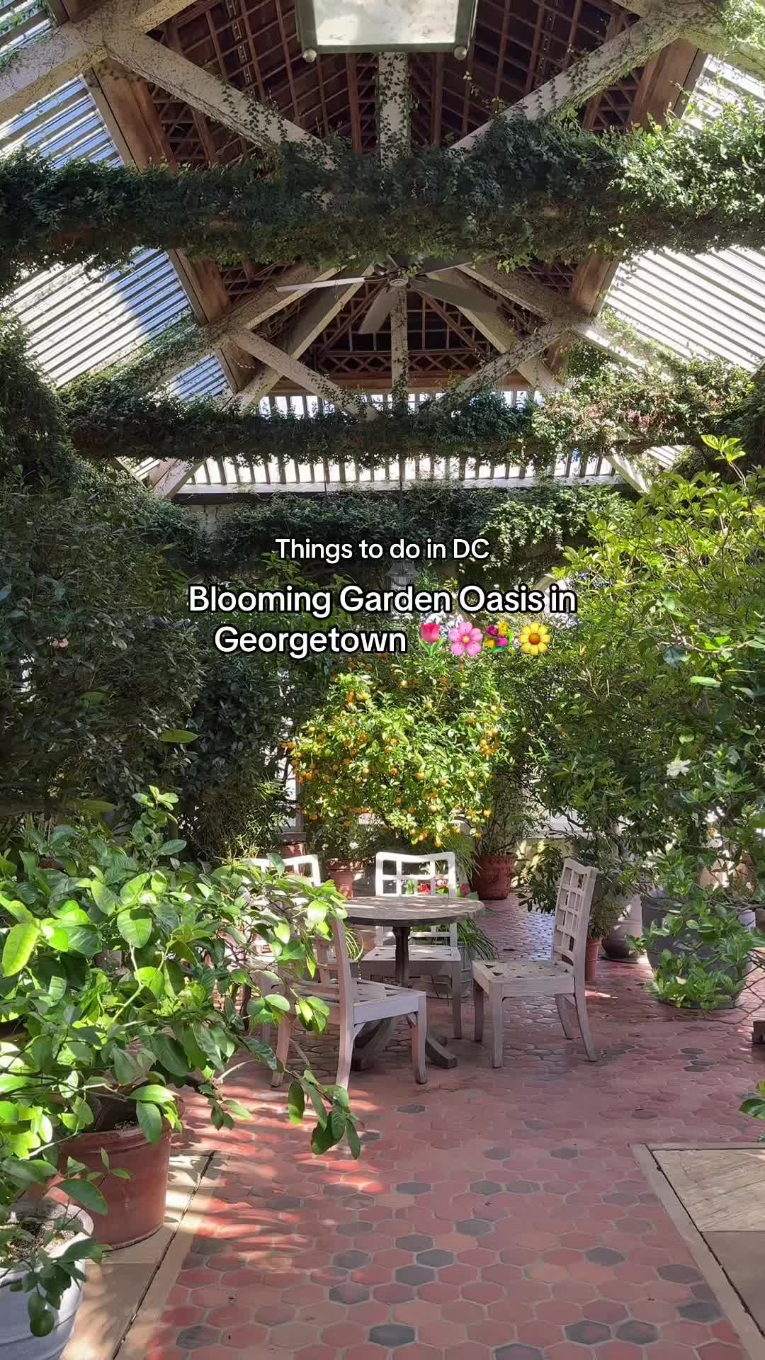 @Jess | A Girl on the Go in DC!