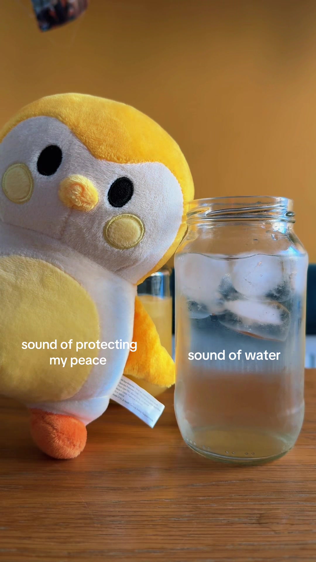 @Finchcare 🐣