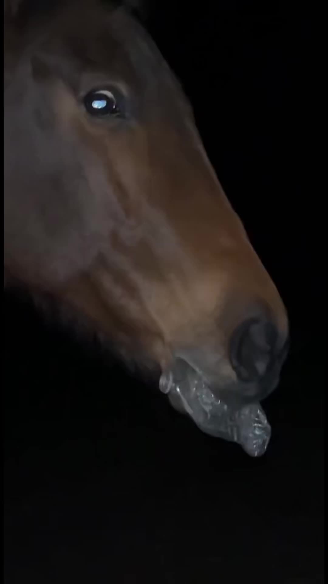 @ℒℯ𝓍𝒾𝒾𝒾𝒾 𝒟𝒶𝓌𝓃