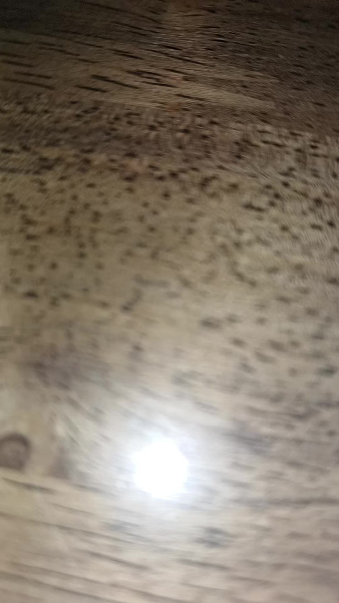 @콩나물무침