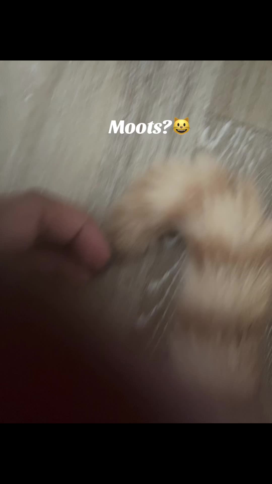 @WDIKLMA