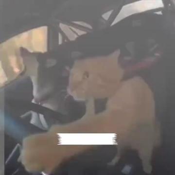 @Funny Videoss