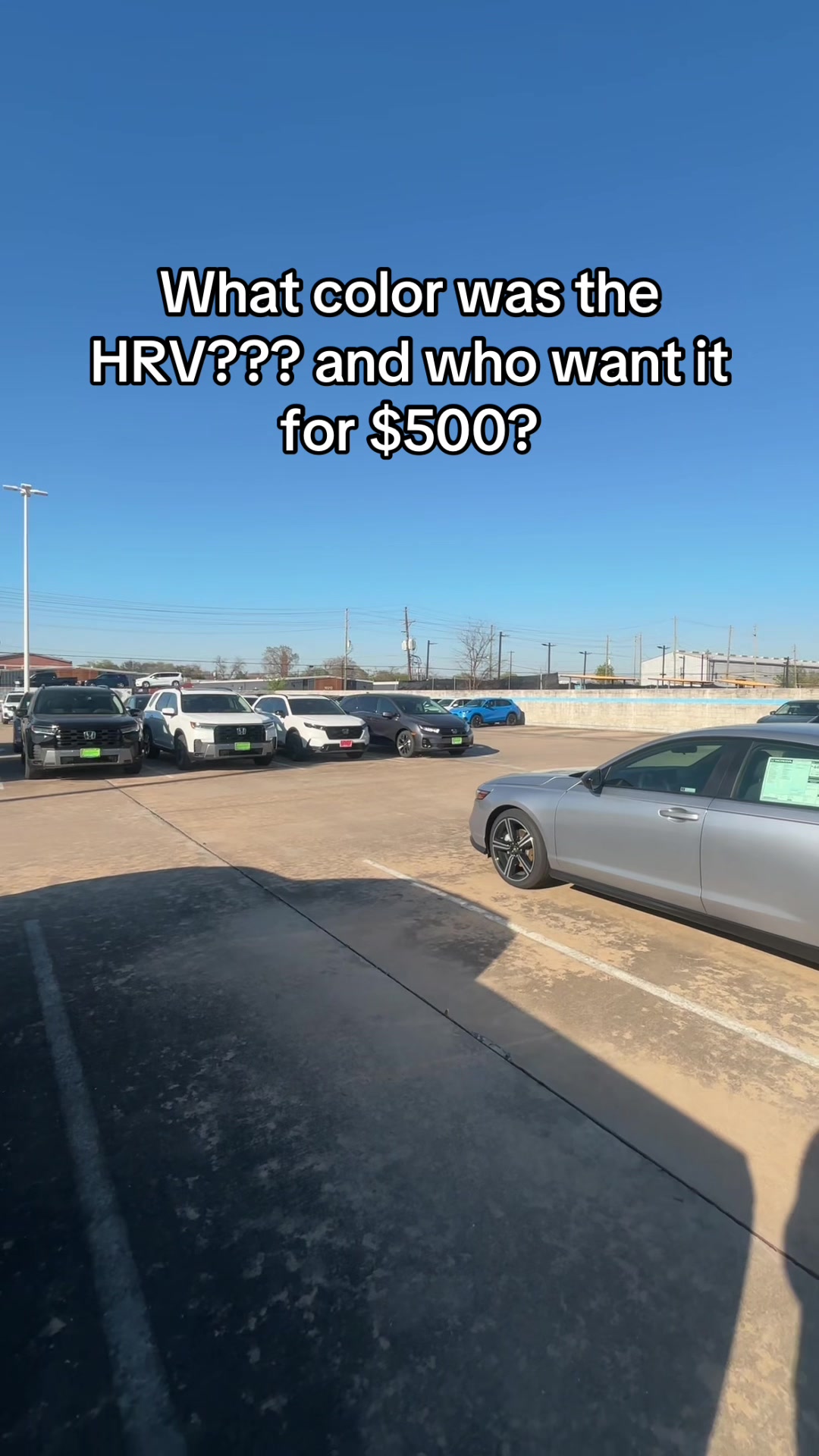 @Mckinleythecarplug