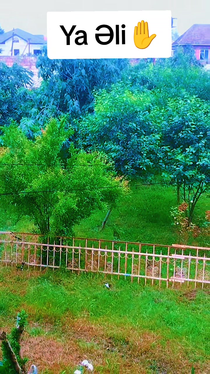 @Halal_şirniyyat_
