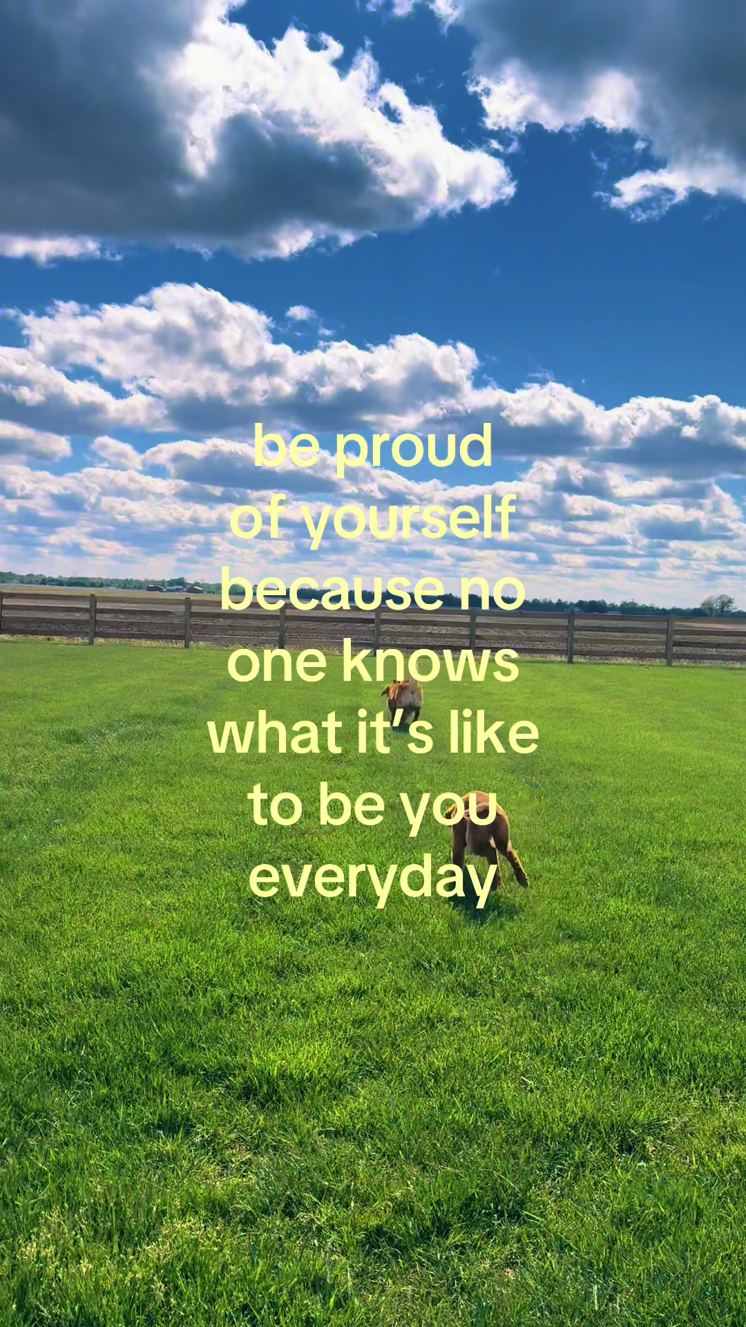 @quiet thoughts