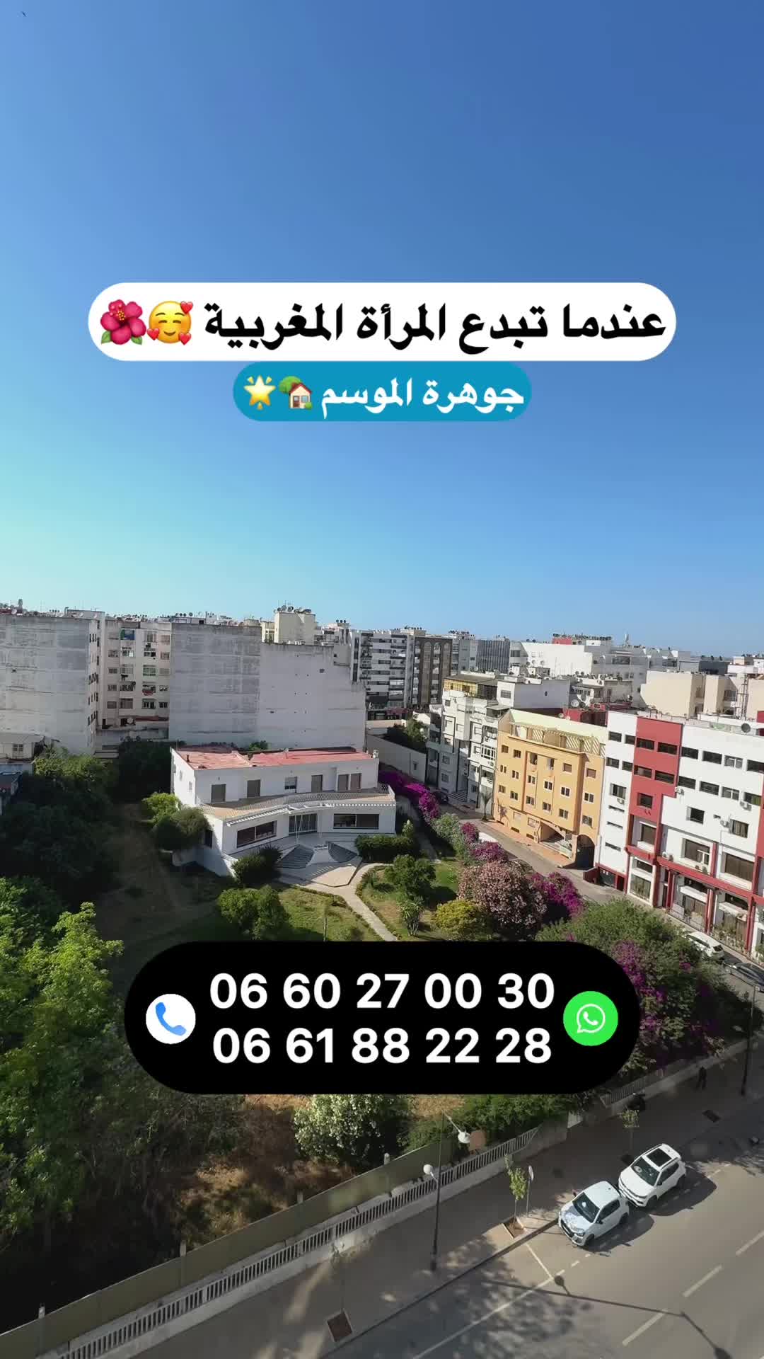 @Zakaria Haddad 🇲🇦🇵🇸