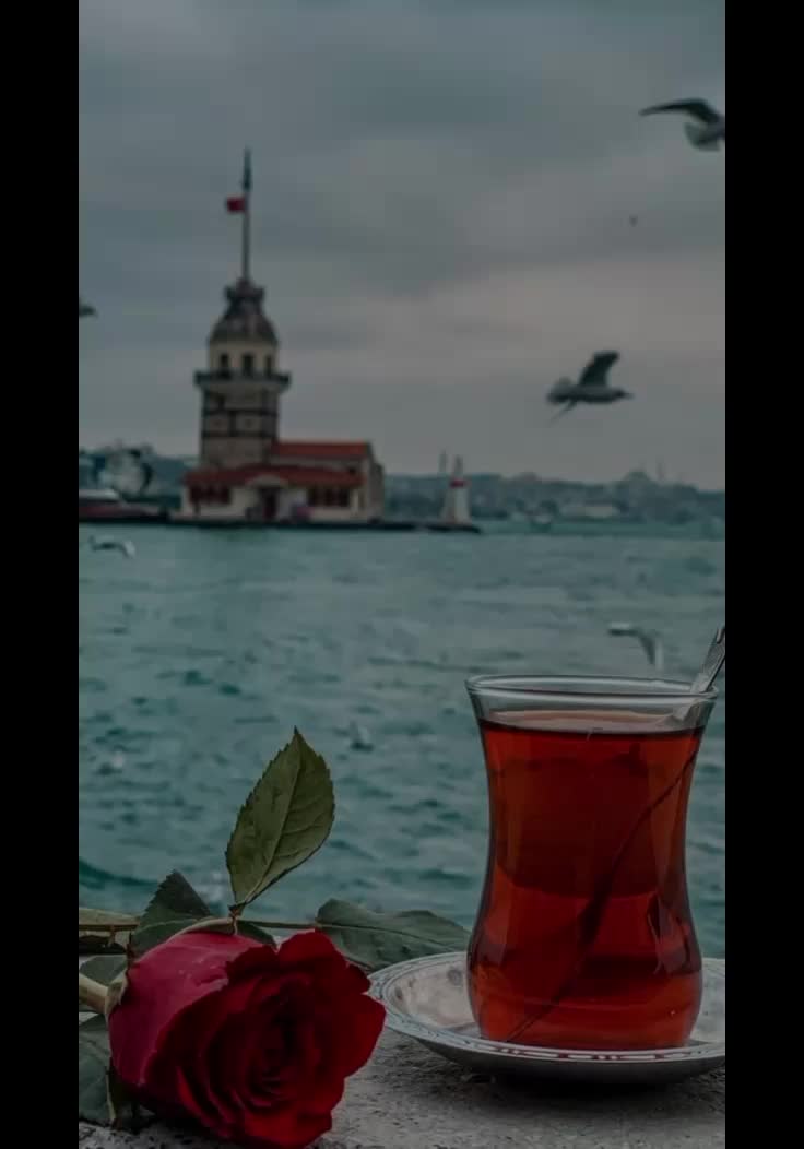 @İ𝐫𝐤𝐚🦁