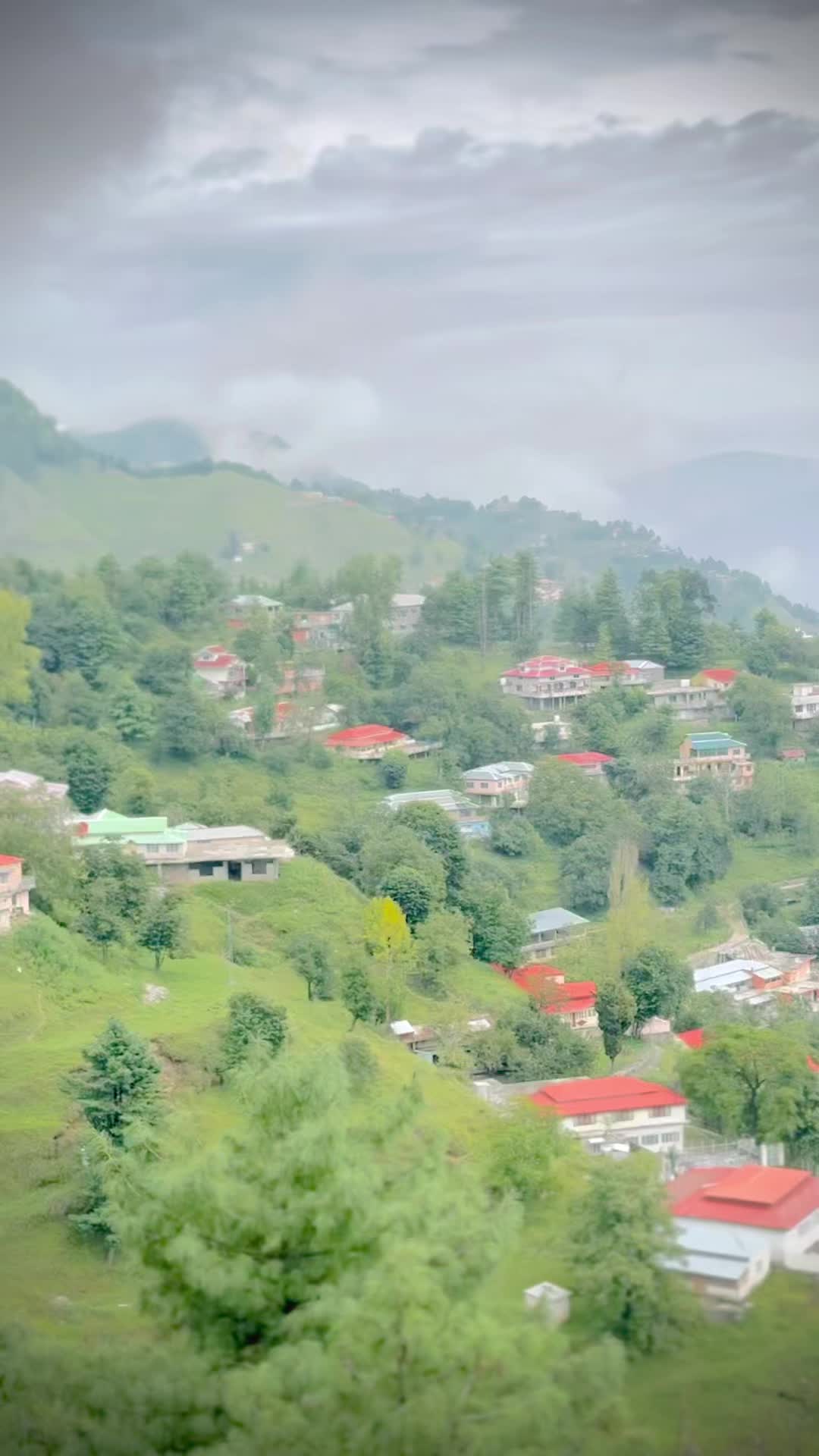 @Shabir Bukhari