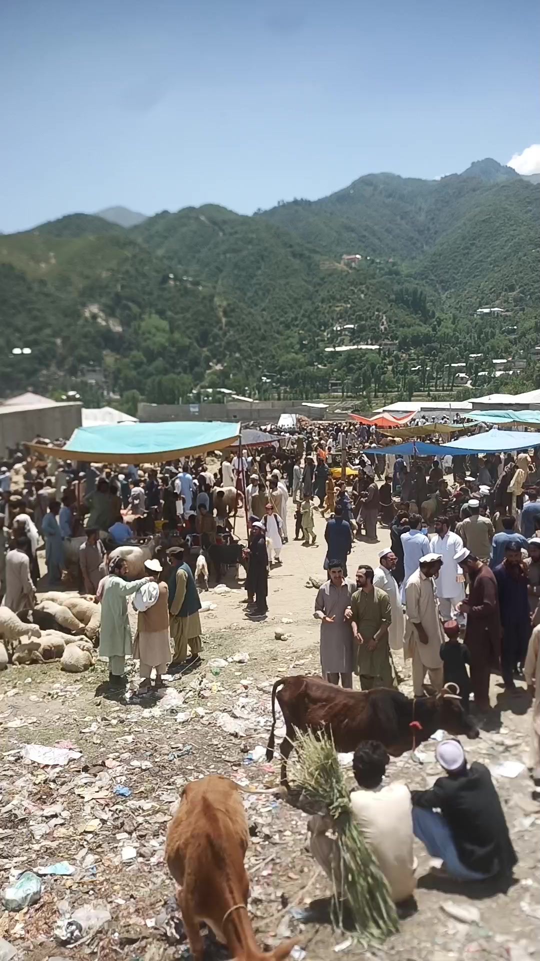 @Shahzadkhan804