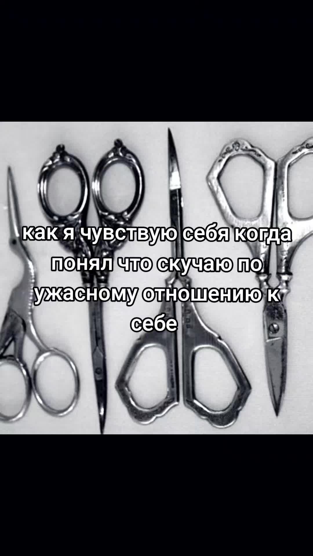 @Вирлен(つ≧▽≦)つ