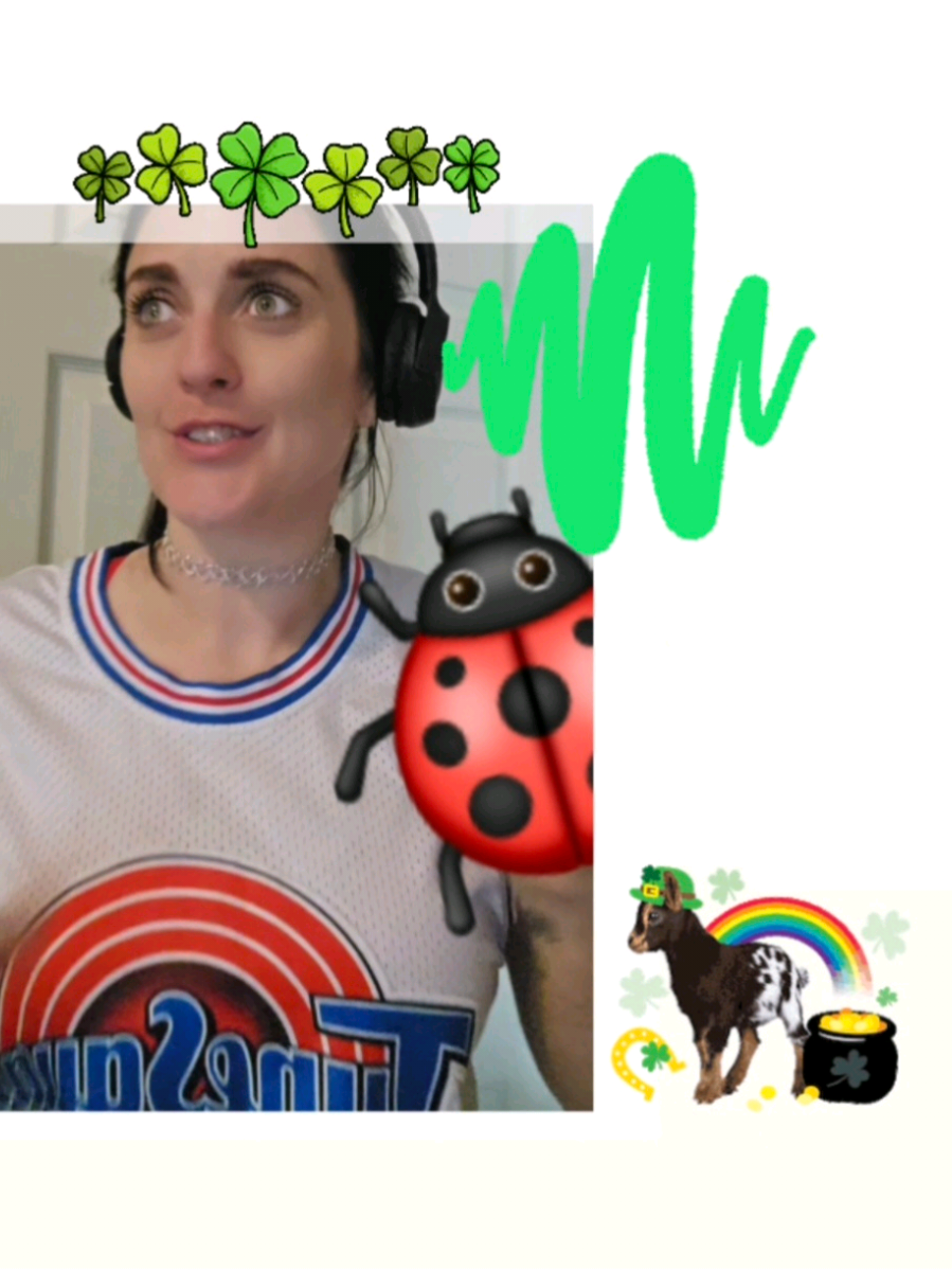 @๐๐ถLady๐Bugs๐ถ๐