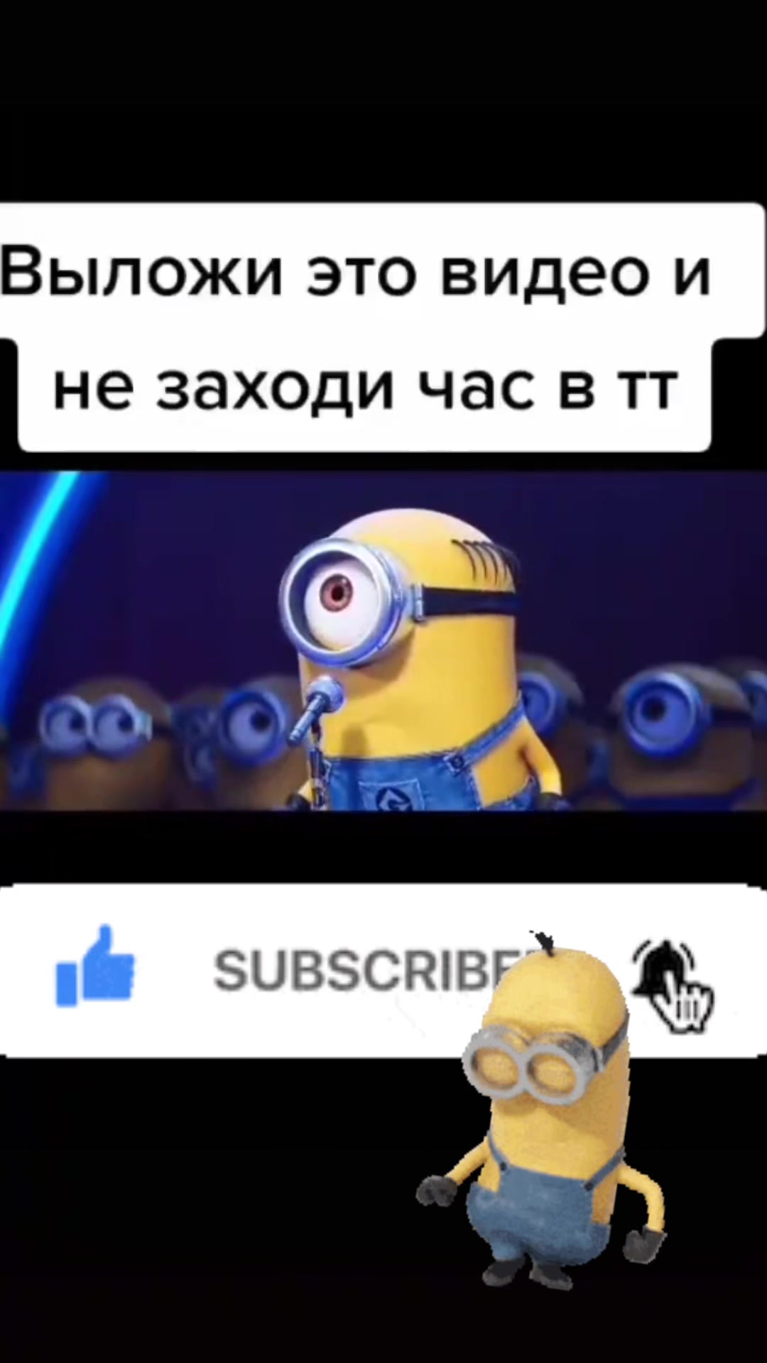 @даня (собаке)