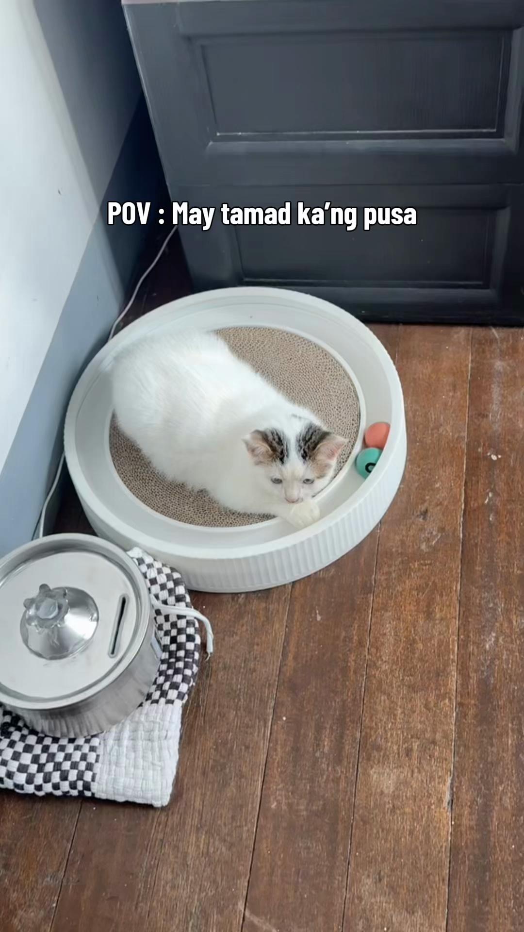 @Aya Tan