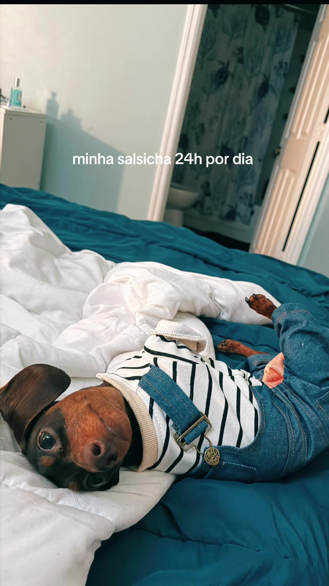 @Lele