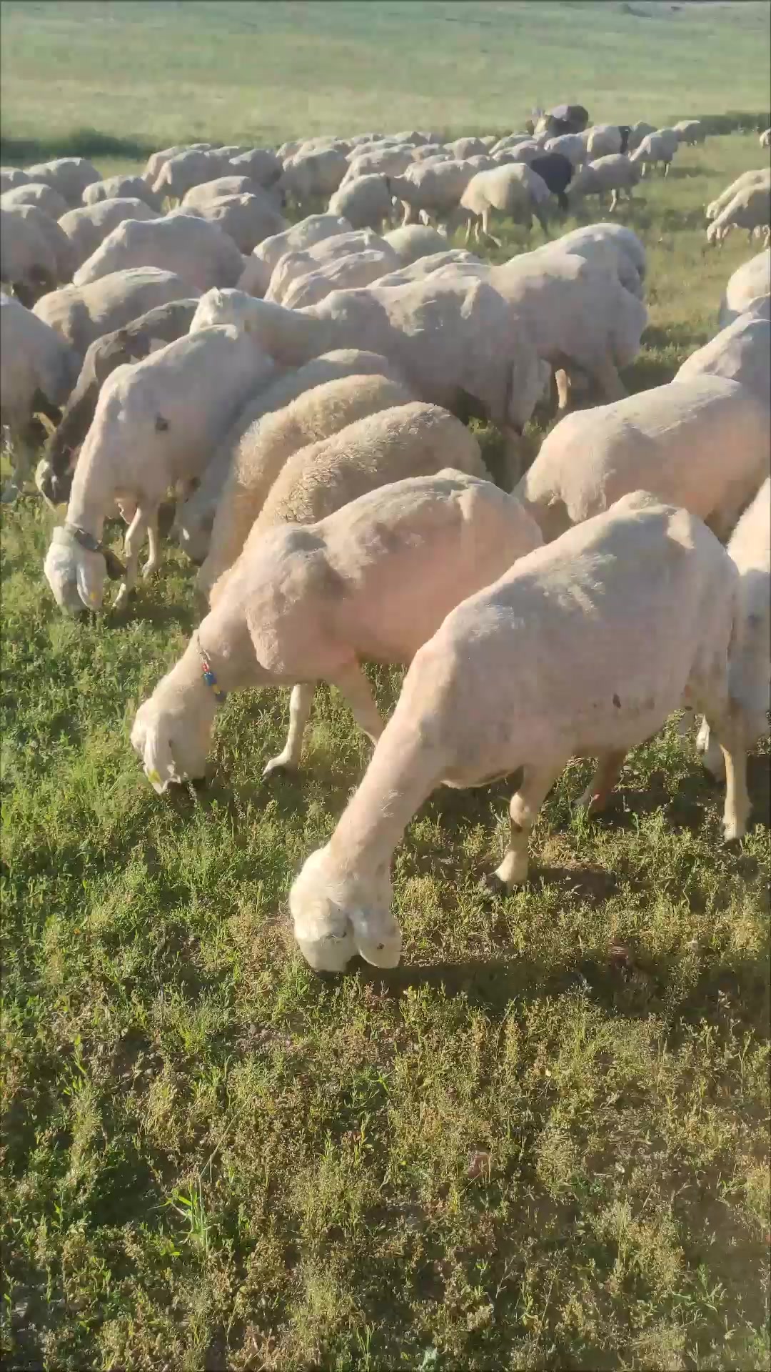 @Emre &Ouml;zt&uuml;rk 51