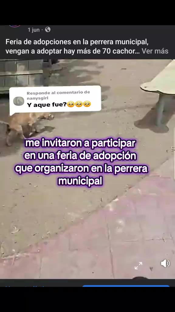 @Gloria Arellano Ramirez