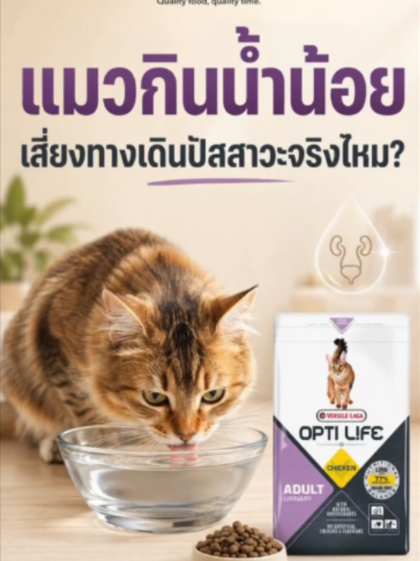 @WelovepetsbyPamornchaiSupply
