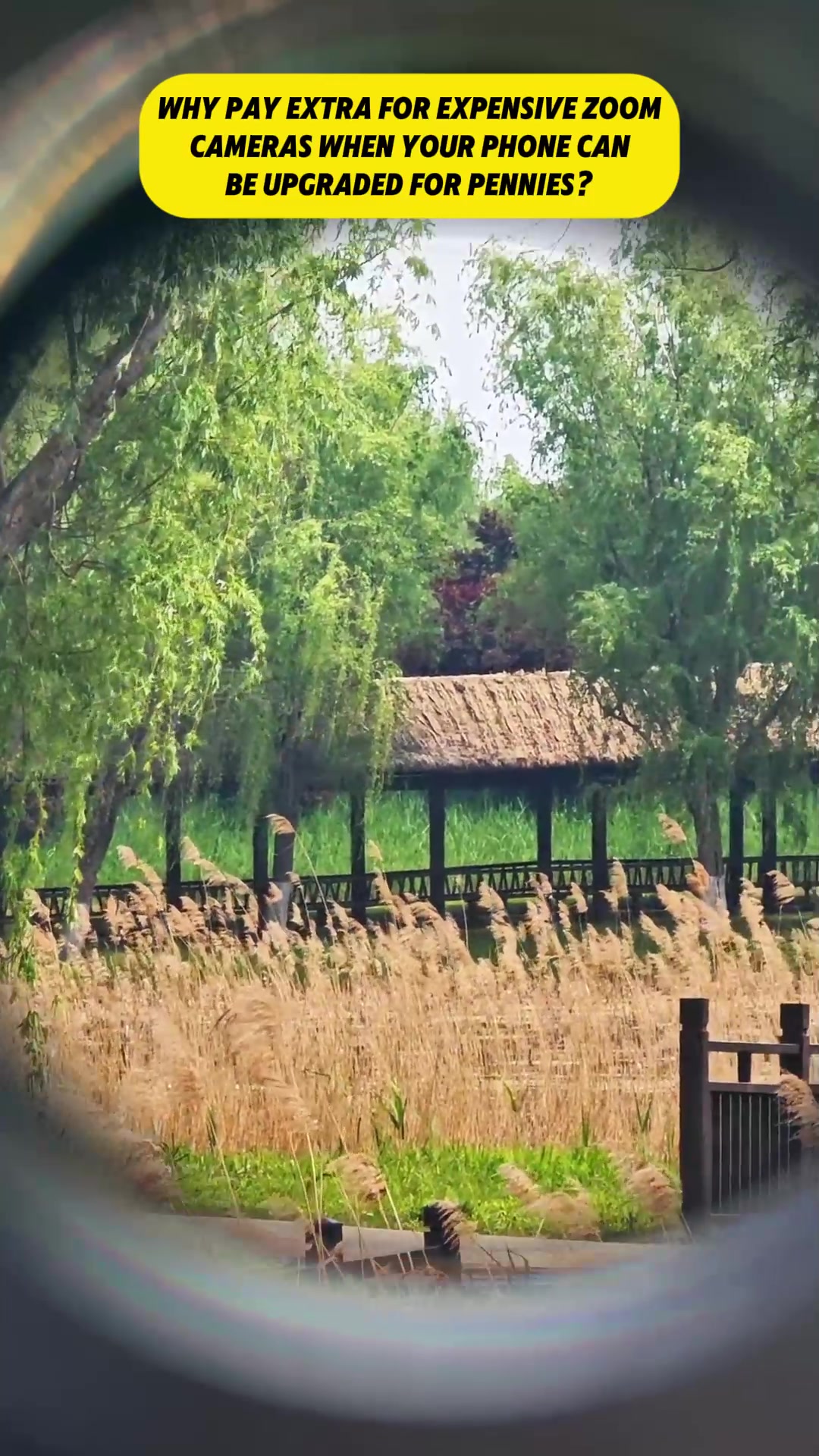 @mvaxv6ocjshpwhz