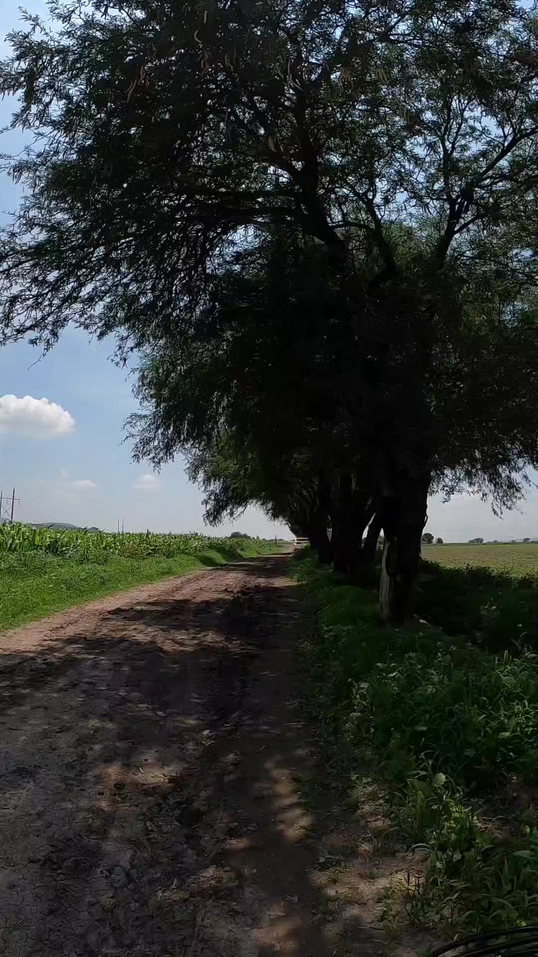 @BenjaLaDo