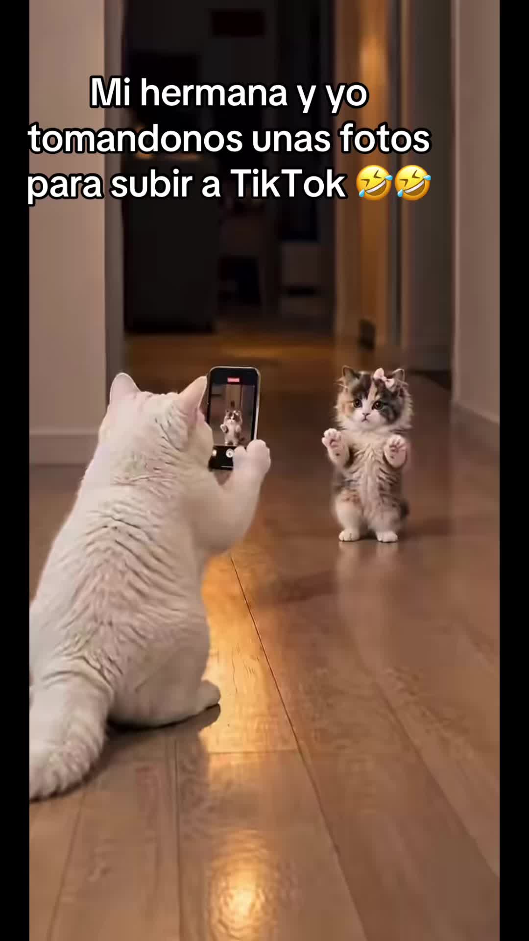 @𝓧𝓪𝓿𝓲 𝓓𝓮 𝓛𝓪 𝓡𝓲𝓿𝓪
