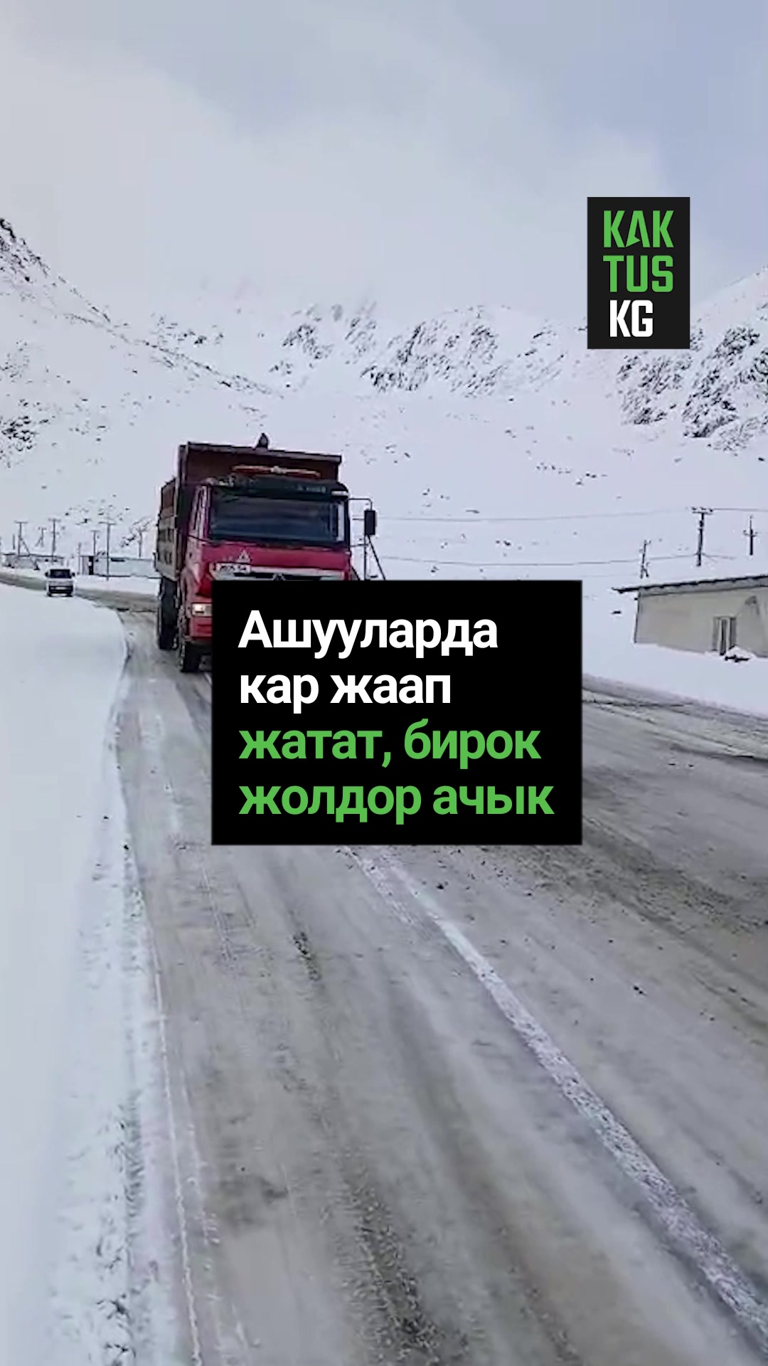 @Kaktus KG