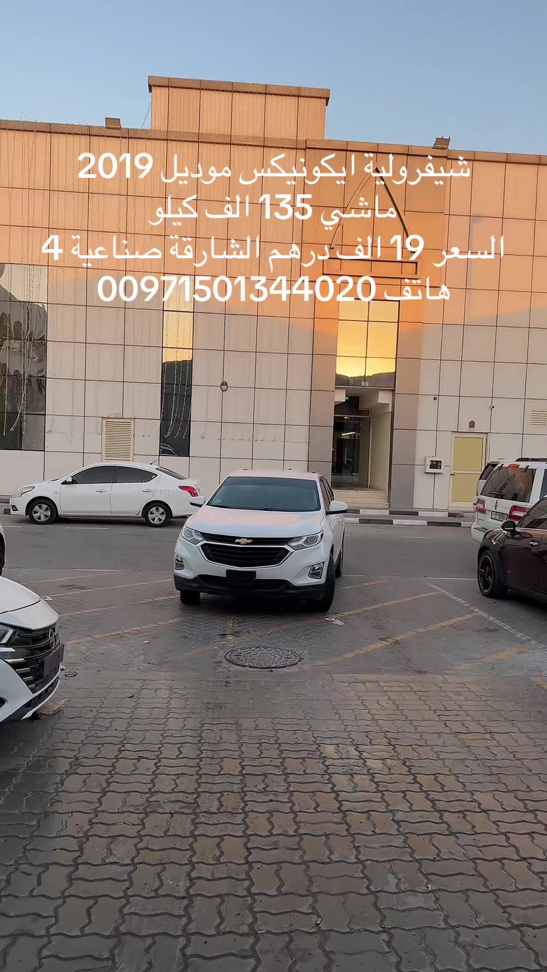 @العربة الذهبية للسيارات