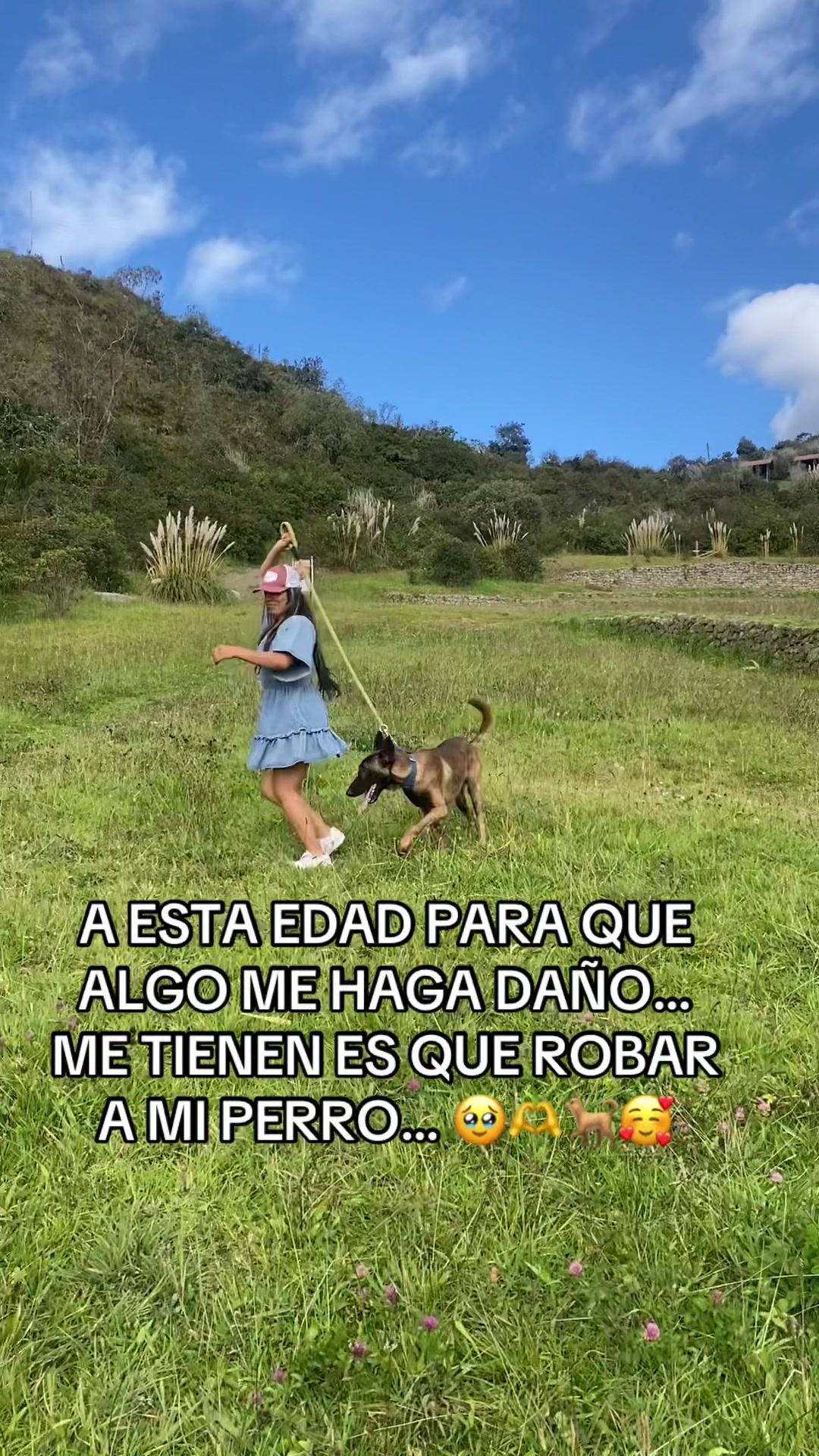 @Anitas.com