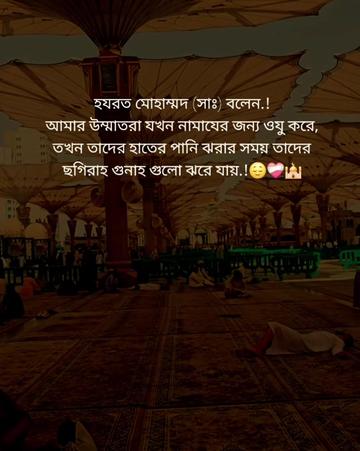 @mdlitonahmed380