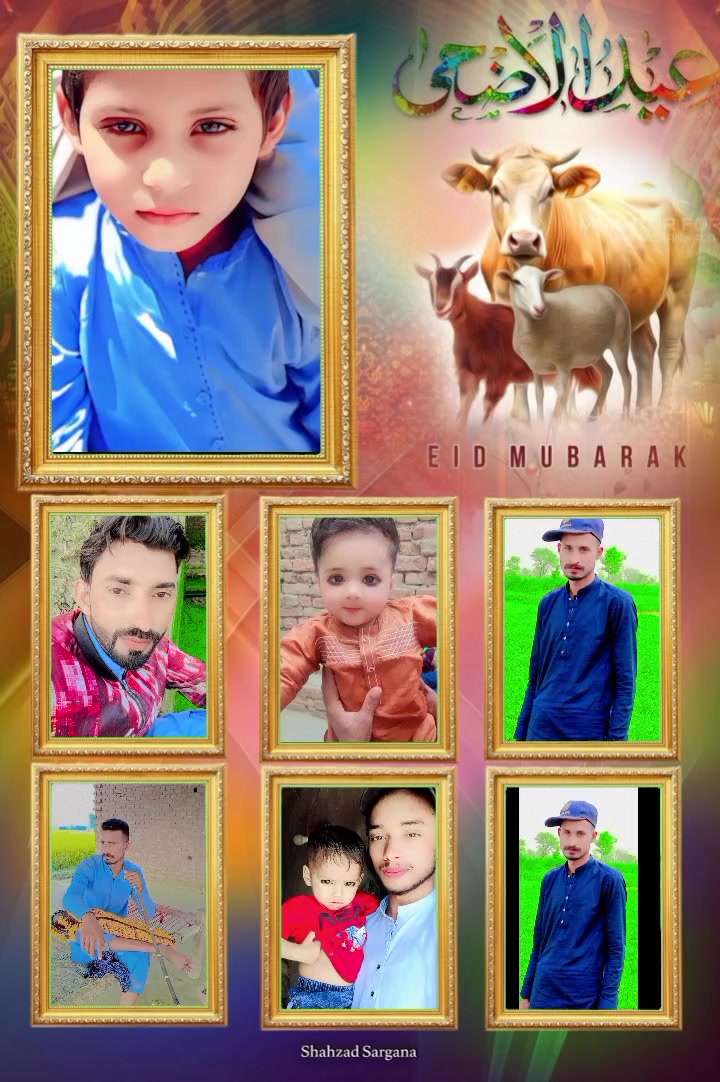 @shoaib