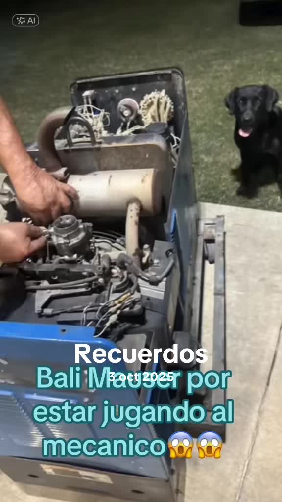 @javieraranda039