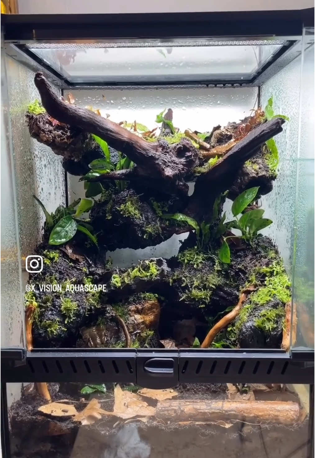 @X_vision_aquascape