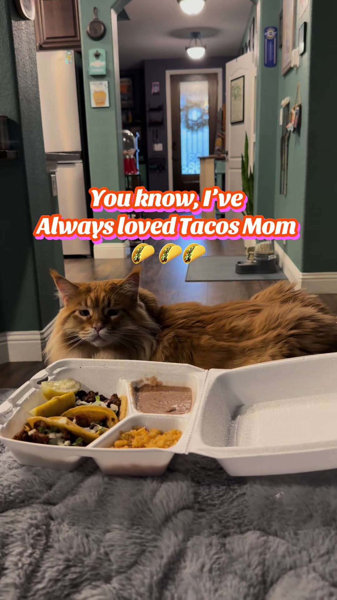 @Theodore Scritches McWiggles