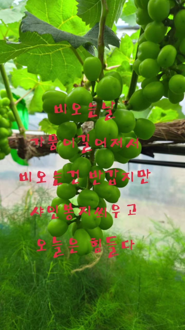 @๐ฐ๐ท๐์ก์ฐํฌ๋์ธ๋๐๐ฐ๐ท