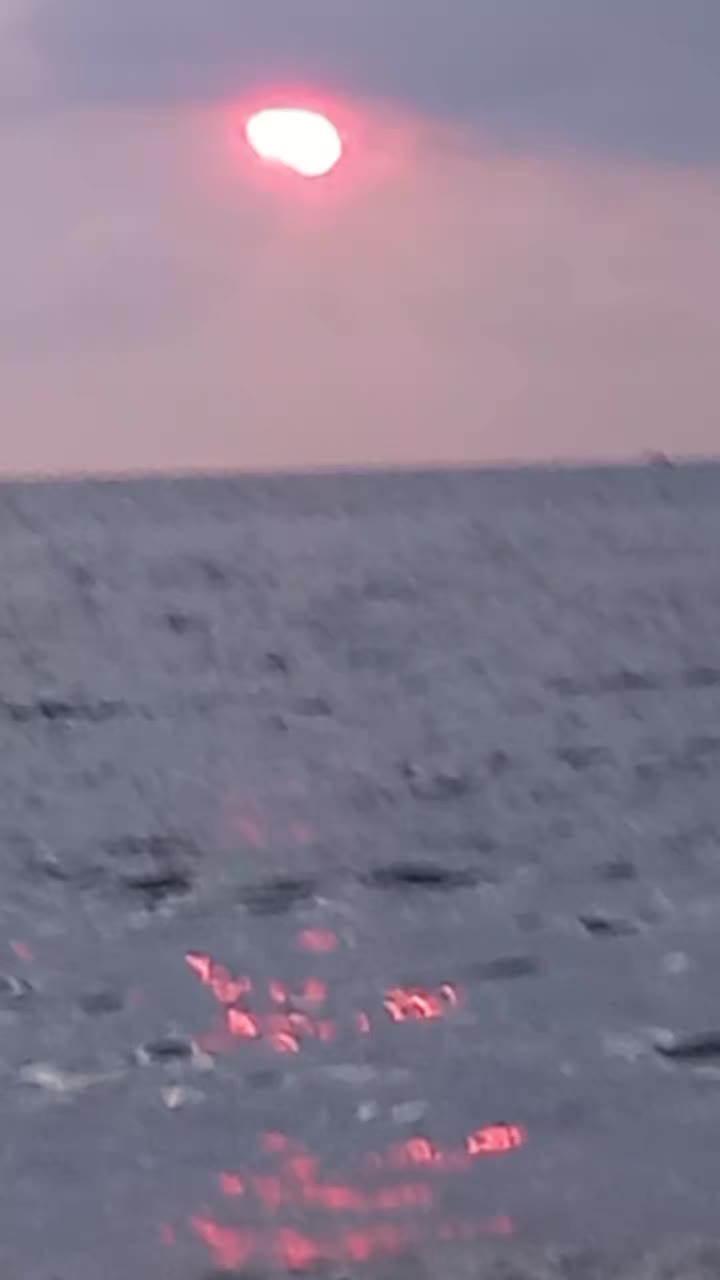 @liviaruff797