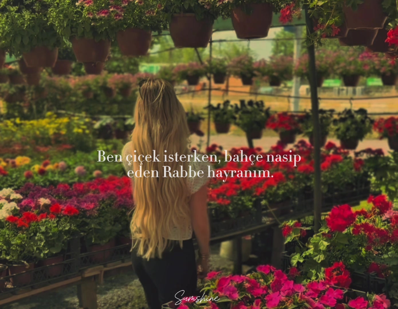 @ALENA