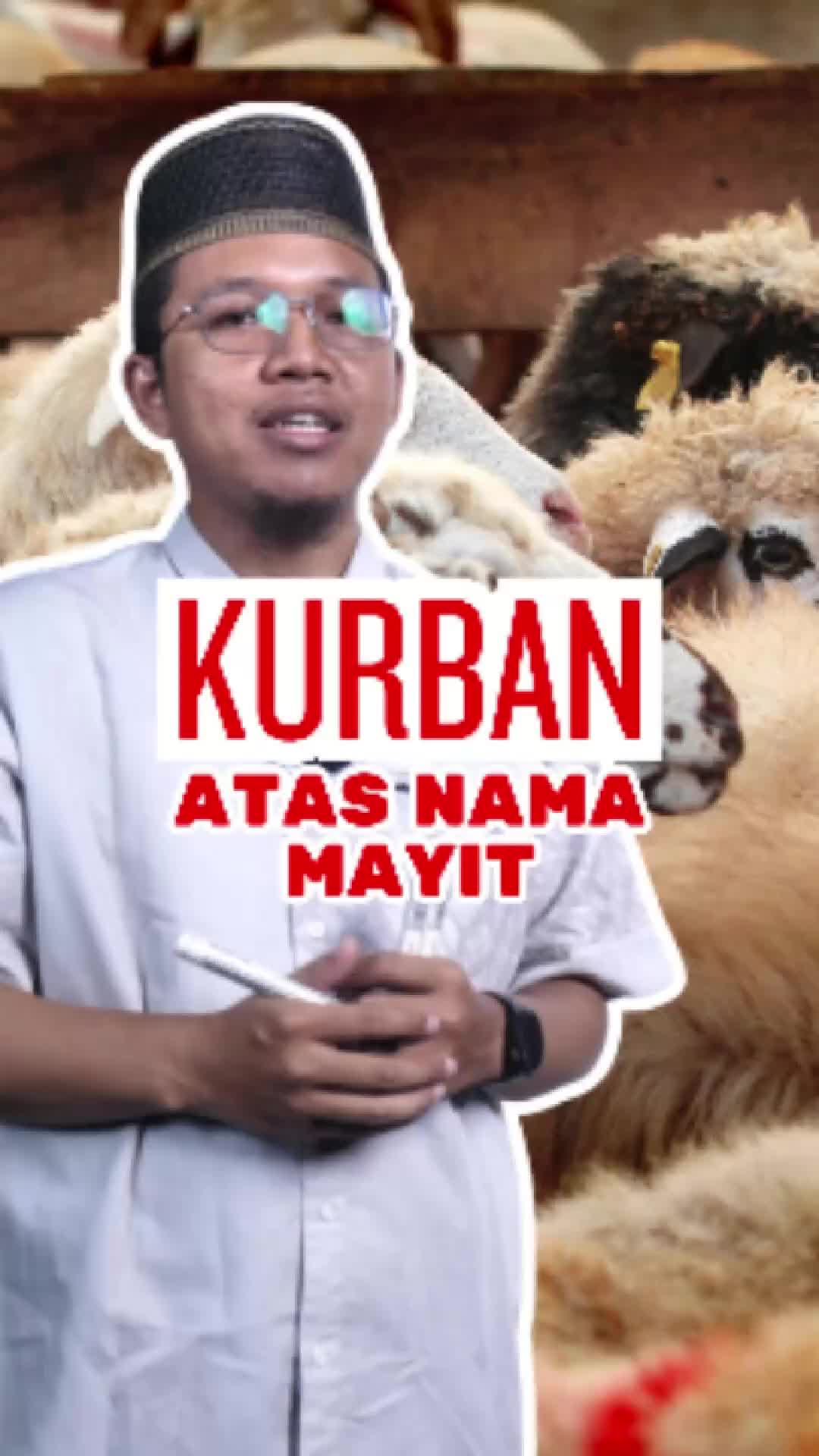@almahbaroh