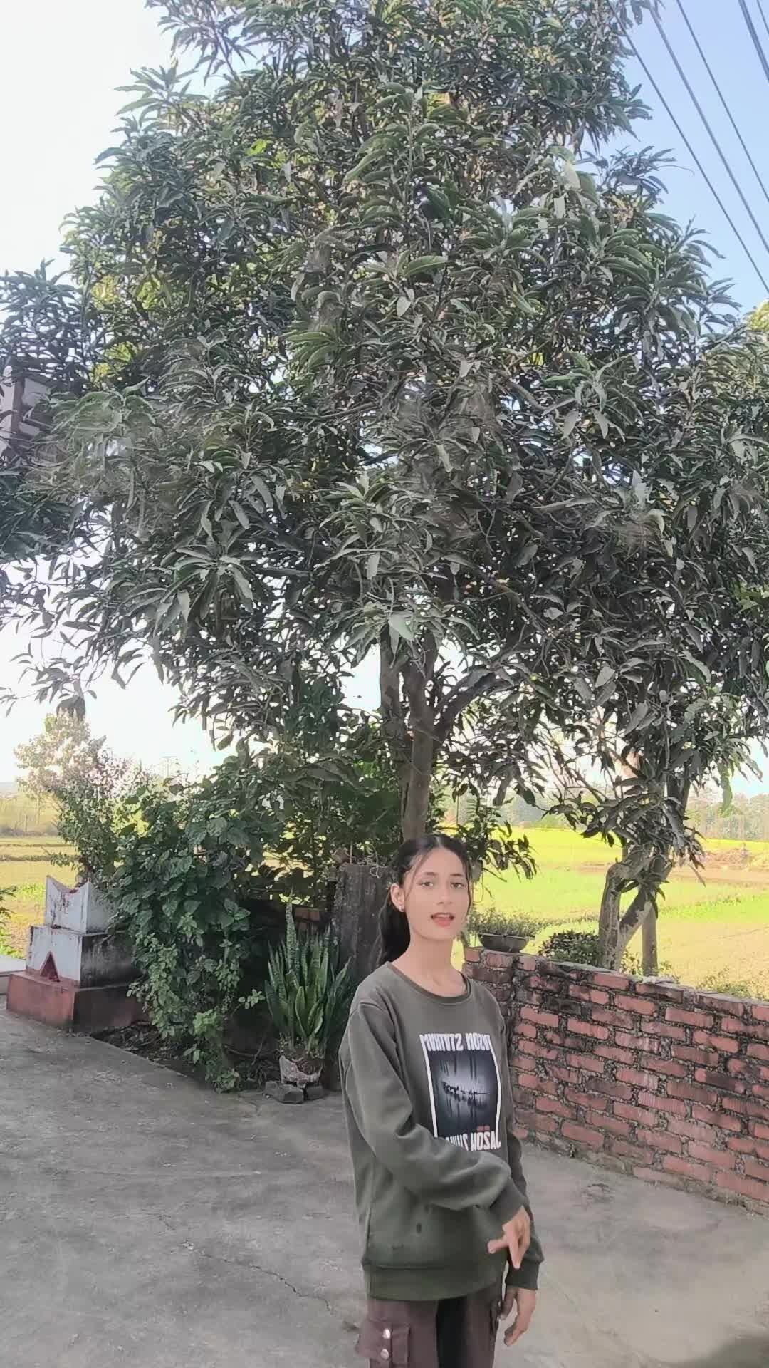 @kristina Aryal🥋