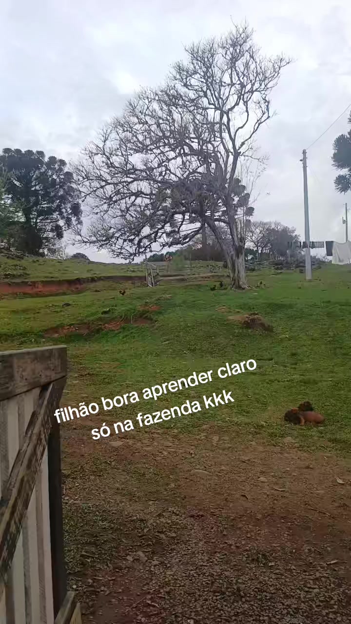 @Verônica Almeida