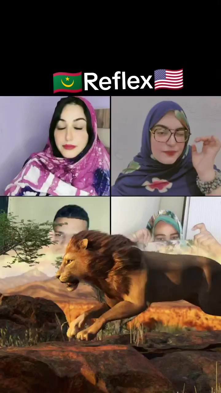 @👻نيوت👻