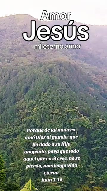 @palomita🕊️