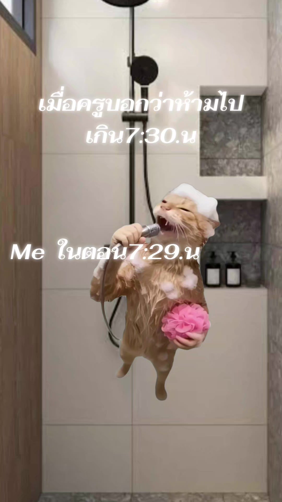 @มาดูอะไรรรรร