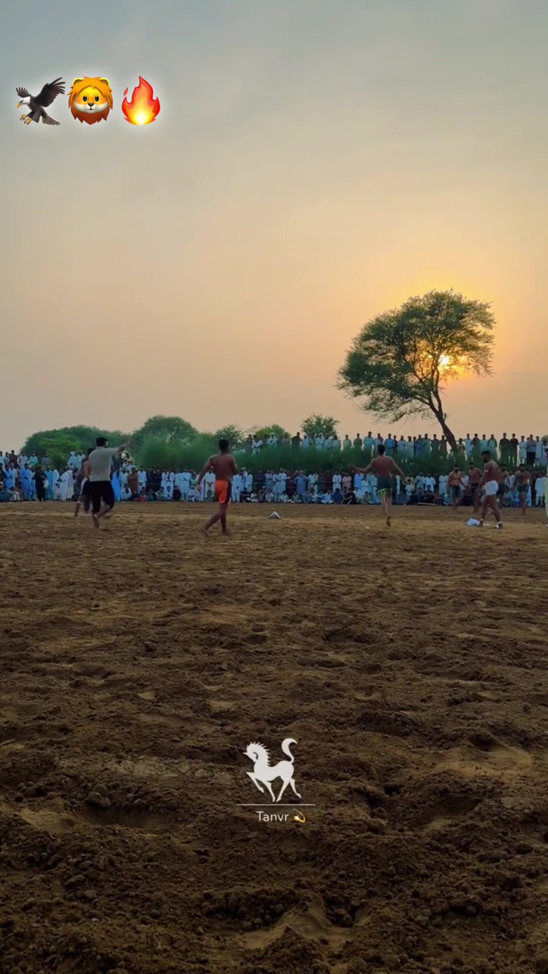 @TAYYAB 111🖤