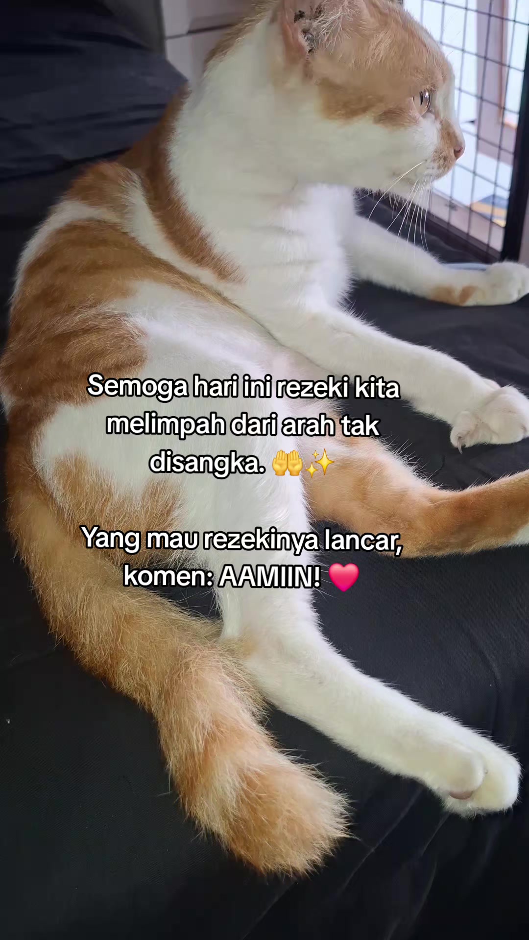 @dymakulinerⓂ️