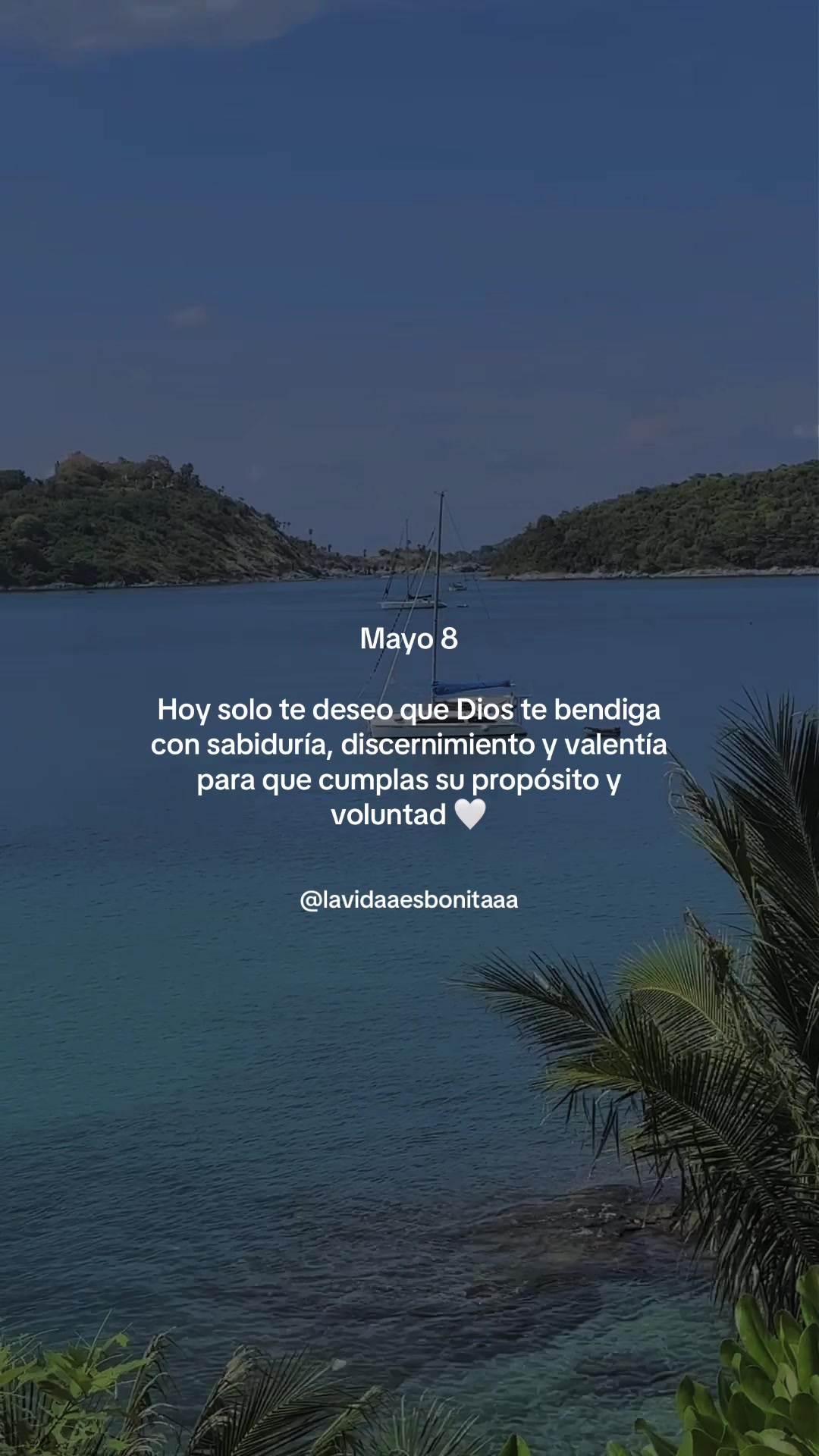 @vidabonita❤️&zwj;🩹