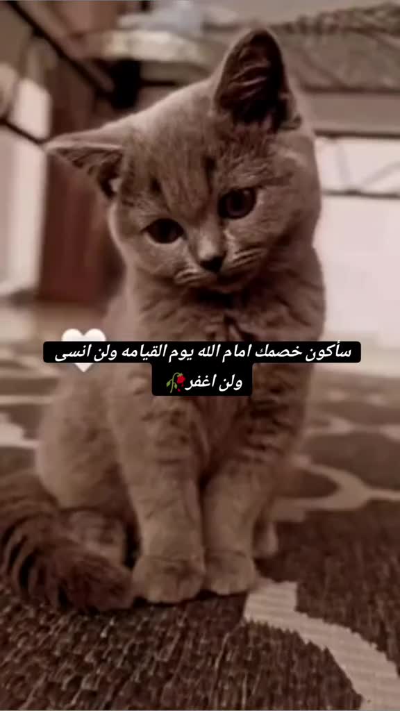 @𓍼𝖗𝖎𝖙𝖆🤎°•