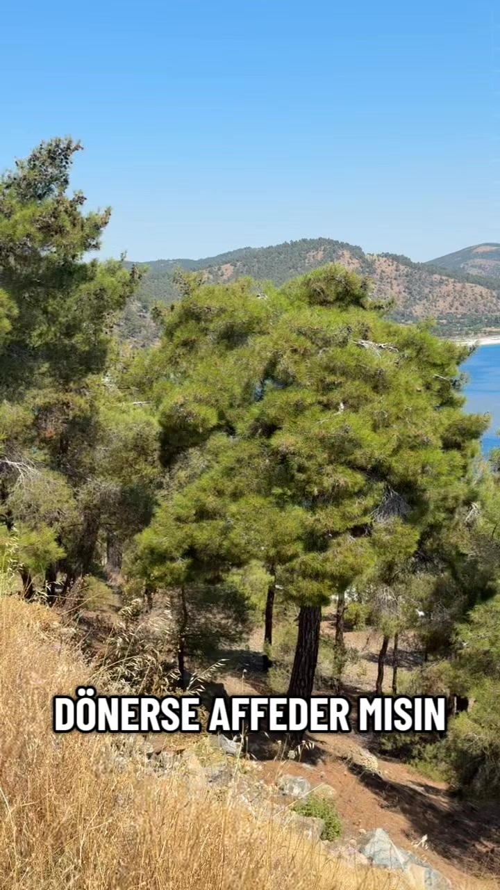 @Paşagönlüm