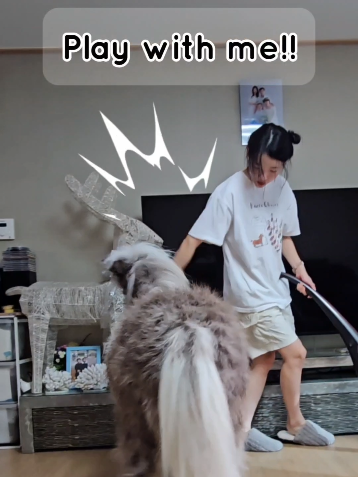 @작은말월리 | 월리플랍🦄
